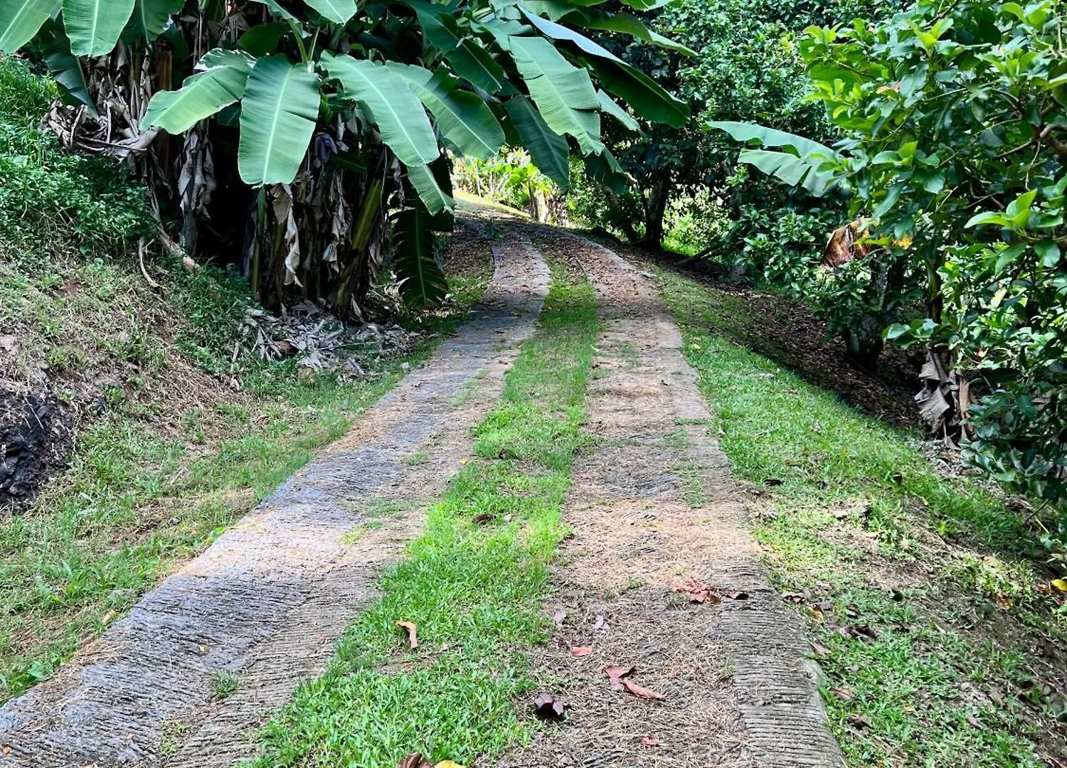 Fare Hotu Villa Fitii Französisch-Polynesien